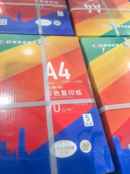 濰坊靜電復(fù)印紙6